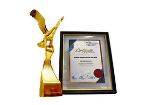 2017-golden-eagle-award